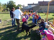 Sorbon - pes fotbalista